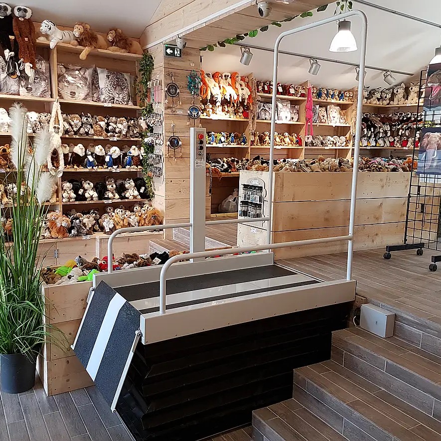 Plataforma vertical AS20 Liftboy